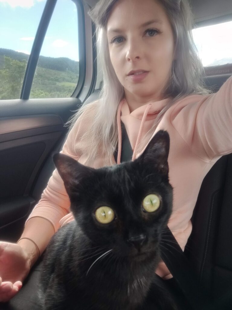 Our black cat, Lady, looking wide eyed during her first long distance trip in the car