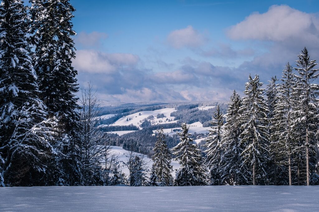 Black Forest road trip in the snow