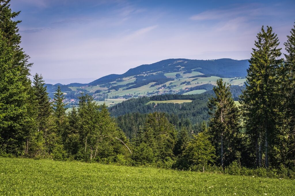 Schwarzwaldhochstrasse view