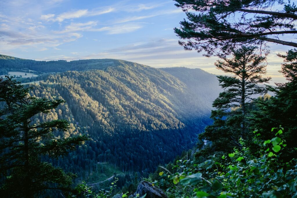 Black Forest High Road view from the top over the trees