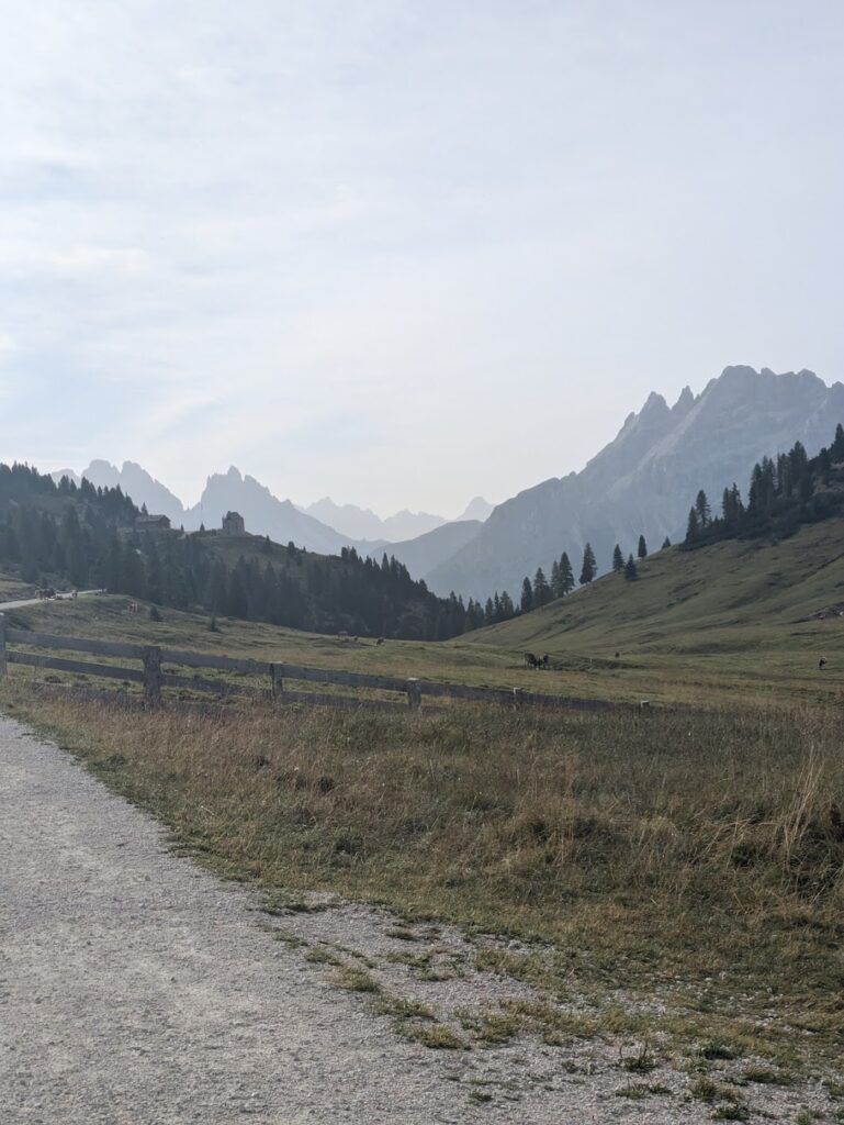 From Monte Specie summit to Prato Piazza car park