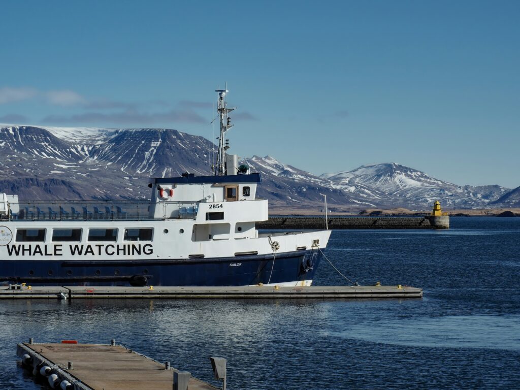 top things to do in Reykjavik
